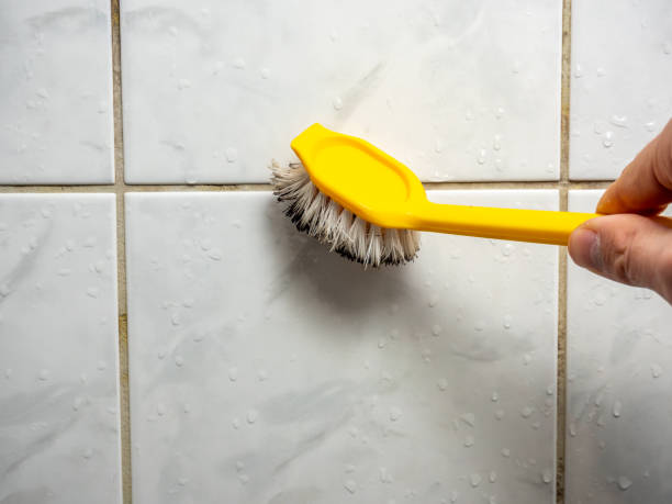 Best Mold Testing and Removal  in Fairfield Plantation, GA