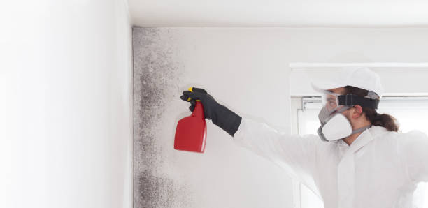 Best Local Mold Removal Service  in Fairfield Plantation, GA