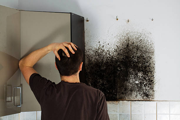 Best Mold Cleaning Services  in Fairfield Plantation, GA